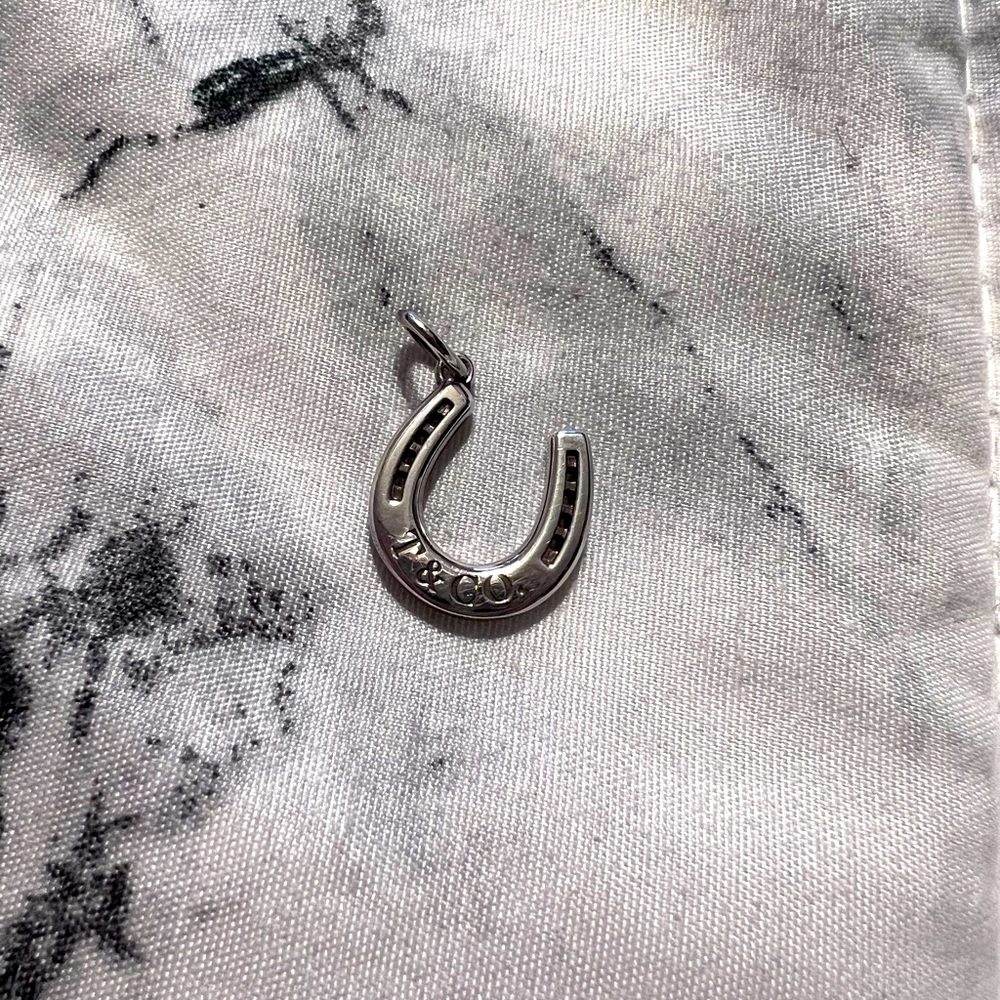 Tiffany & Co Charm